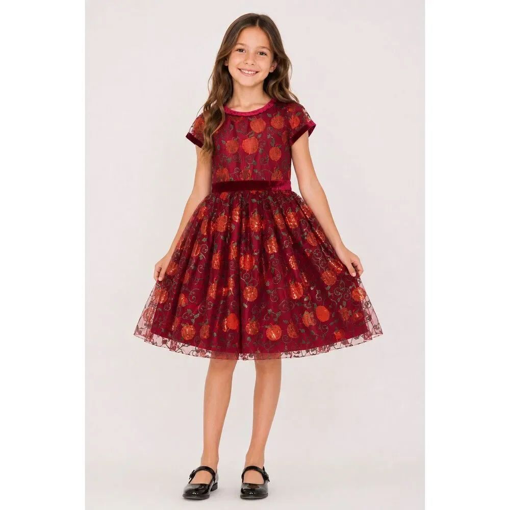 Disney Princess Snow White Girls Sequin Pumpkin Party Dress Burgundy Size 9-10